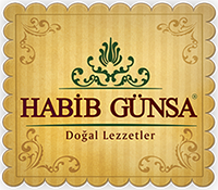 Habib Günsa
